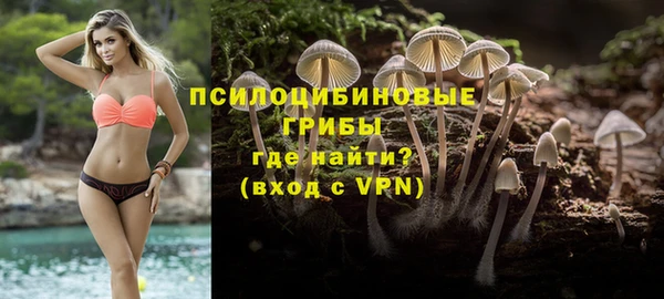 COCAINE Богородицк