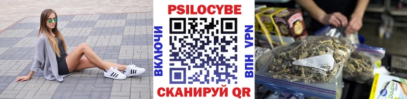 Галлюциногенные грибы GOLDEN TEACHER блэк спрут зеркало Верхотурье